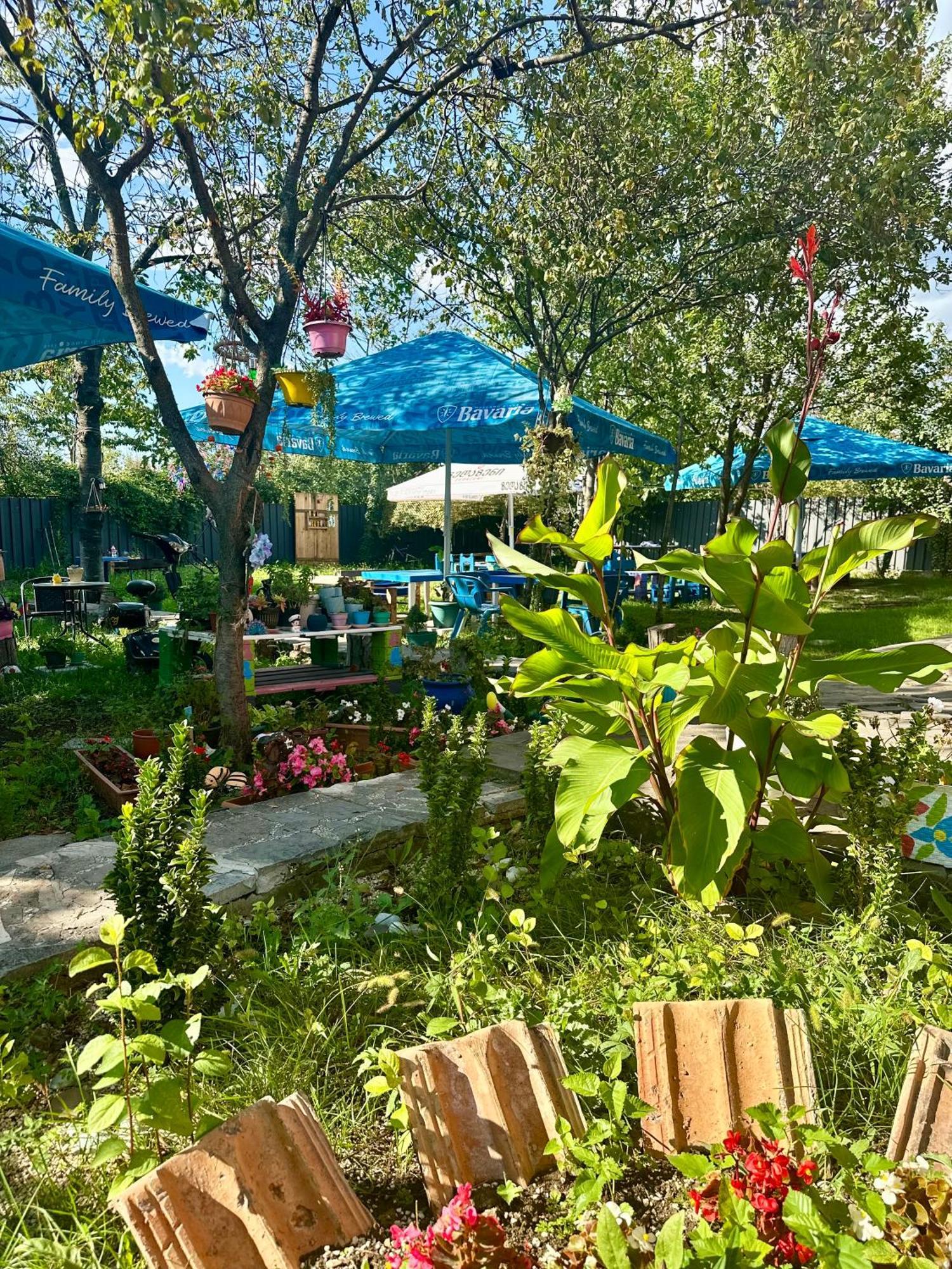 Napoli Nataxtari Hotel,Pool,Bar,Kamping Natakhtari Екстериор снимка