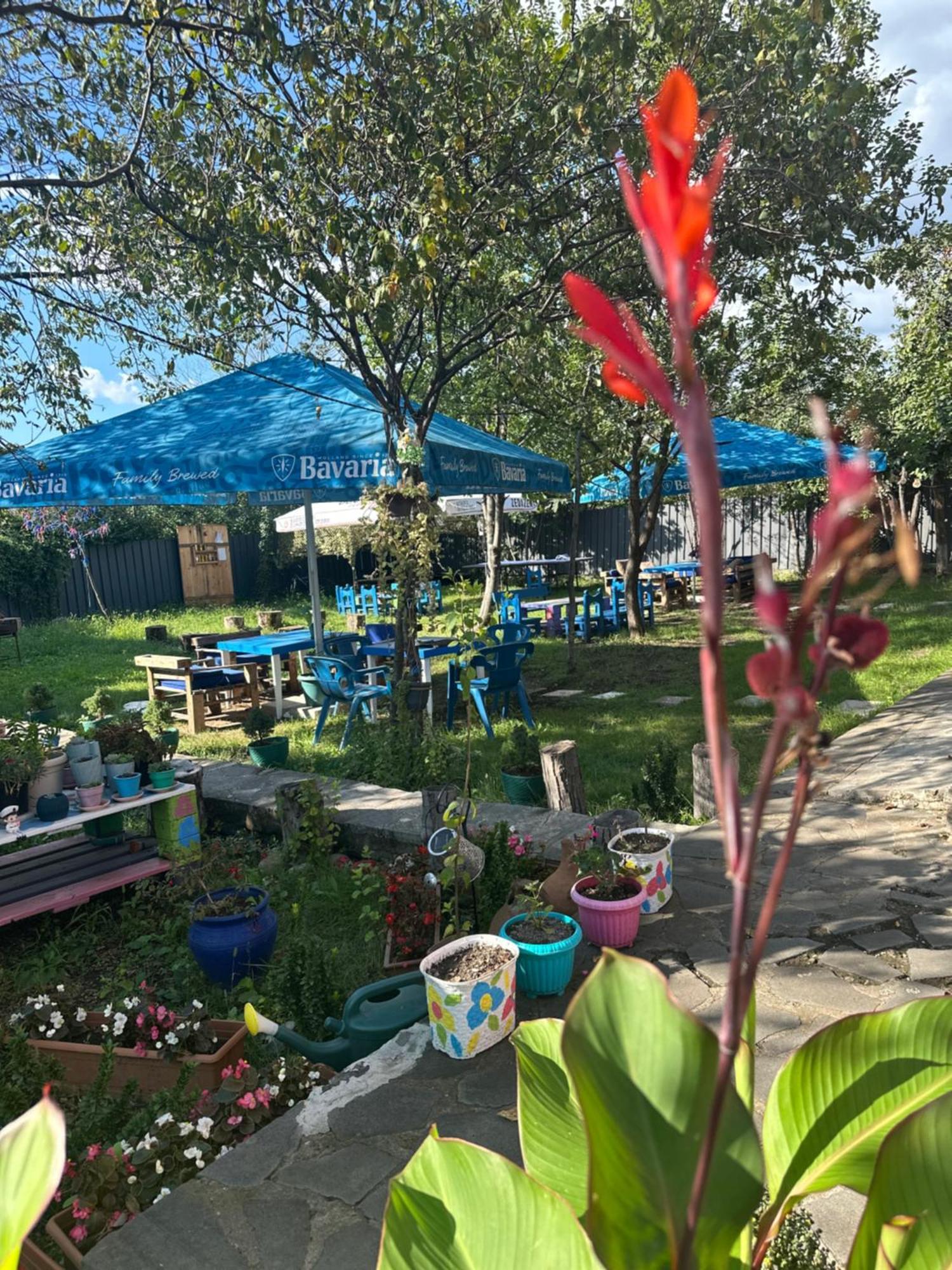 Napoli Nataxtari Hotel,Pool,Bar,Kamping Natakhtari Екстериор снимка