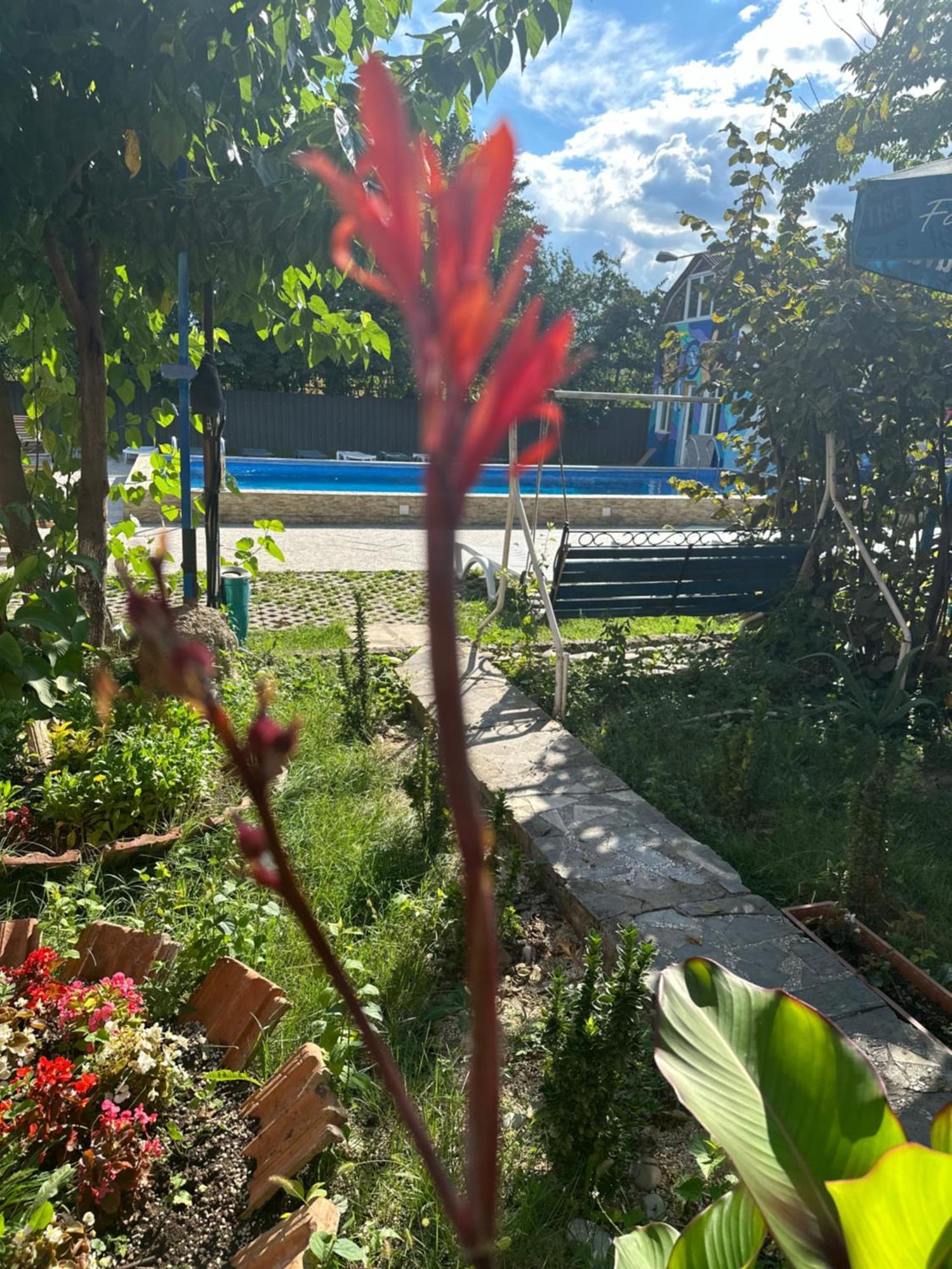 Napoli Nataxtari Hotel,Pool,Bar,Kamping Natakhtari Екстериор снимка